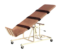 Camilla Bipedestaci&oacute;n