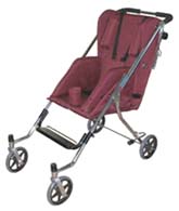 Coche Neurol&oacute;gico